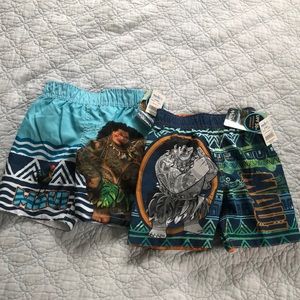 Maui Swim Shorts